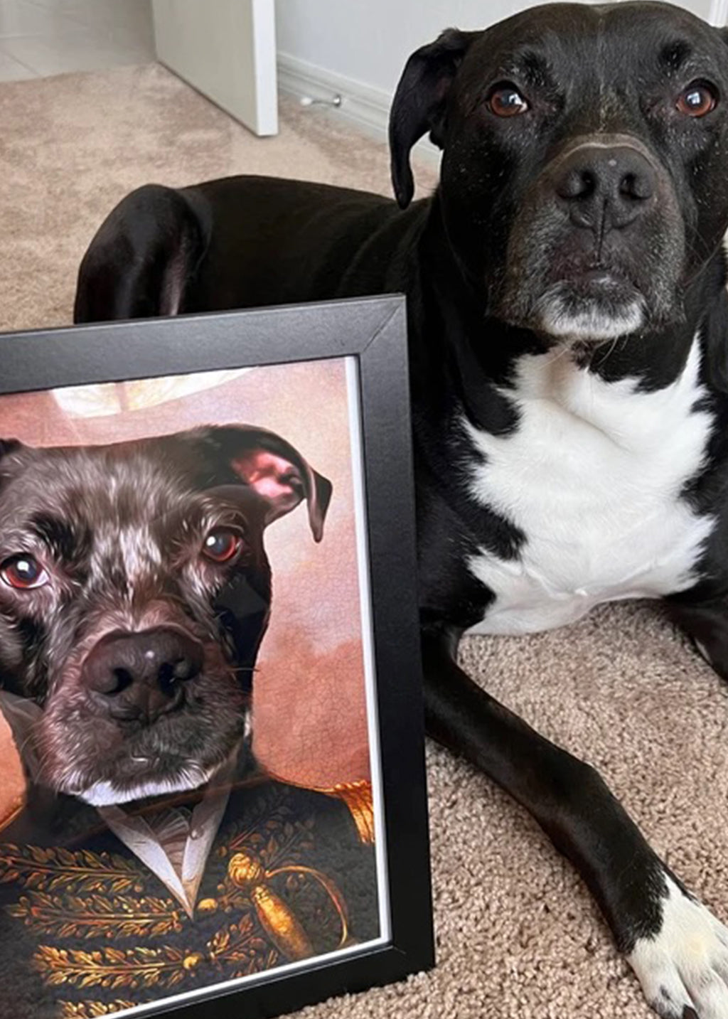 Pet Portrait UK, Dog Portraits From Photos, Regal Dog Portraits, Pet Custom Portrait