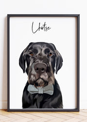 Dog Drawing Portraits, Pet Portraits From Photos, Cat Portraits From Photos