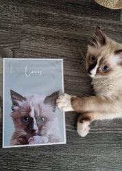 Cat Portraits UK, Portraits Of Cats, Portrait Cat, Cat Portrait, Cat Portraits From Photos
