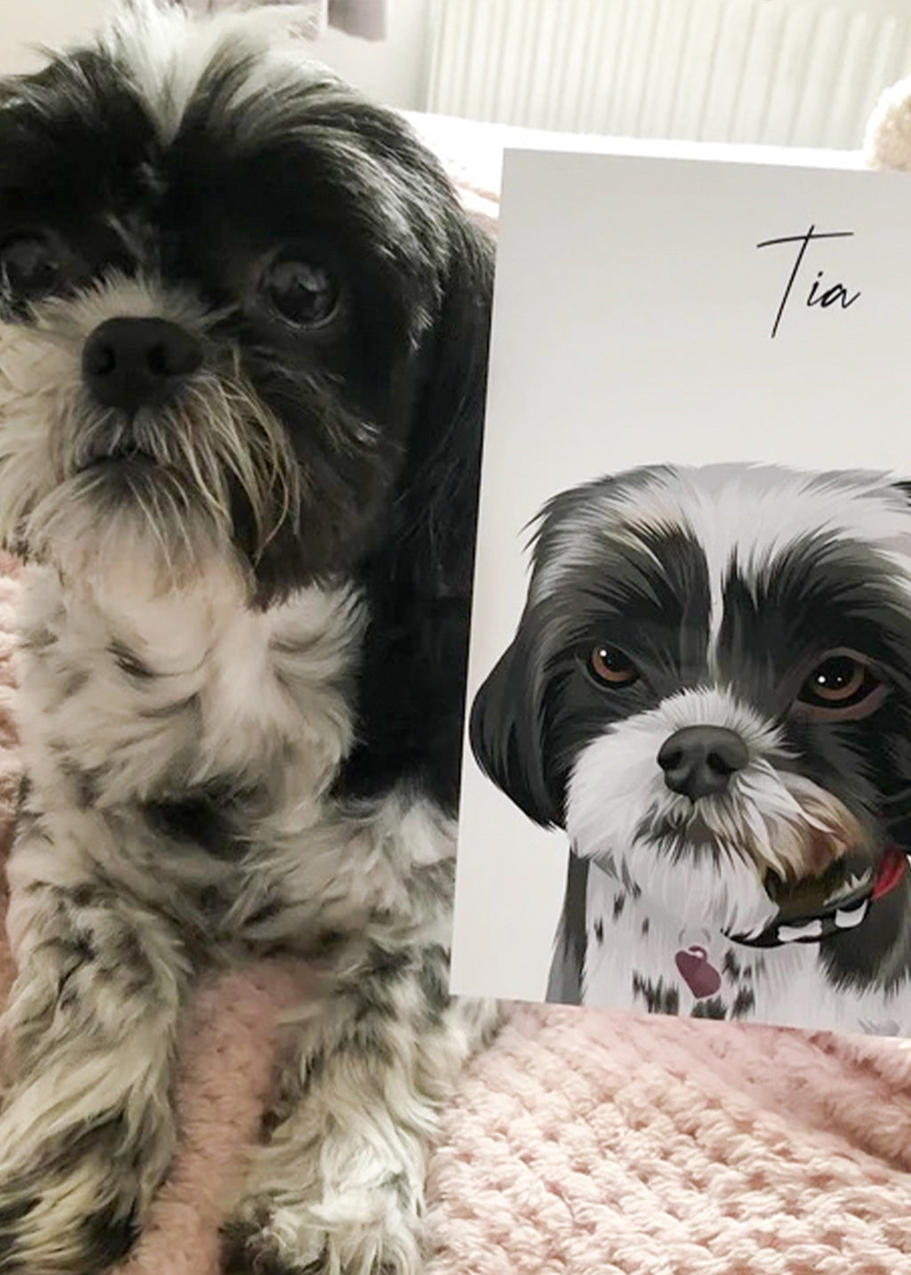 Hand Drawn Pet Portraits, Dog Drawing Portraits, Pet Portraits From Photos