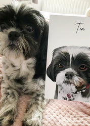 Hand Drawn Pet Portraits, Dog Drawing Portraits, Pet Portraits From Photos