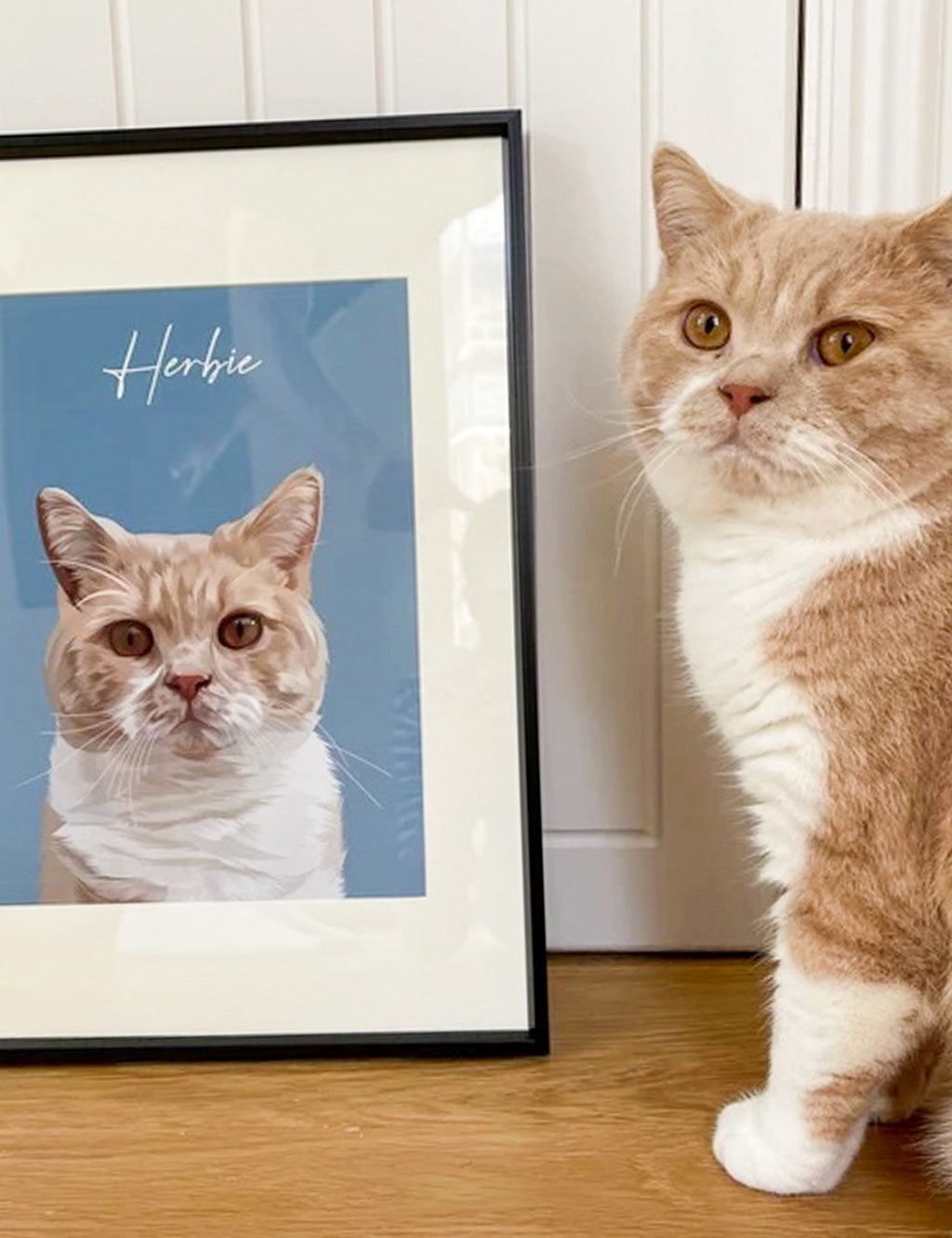 Cat Portraits From Photos, Cat Portrait, Portrait Cat, Cat Portraits UK, Portraits Of Cats