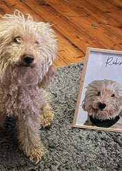 Pet Art Portraits, Dog Drawing Portraits, Pet Portraits From Photos