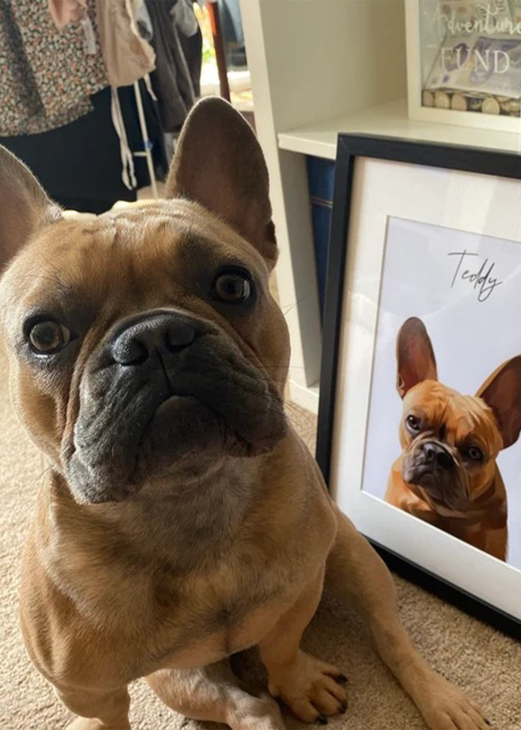 Dog Drawing Portraits, Pet Portraits From Photos, Cat Portraits From Photos