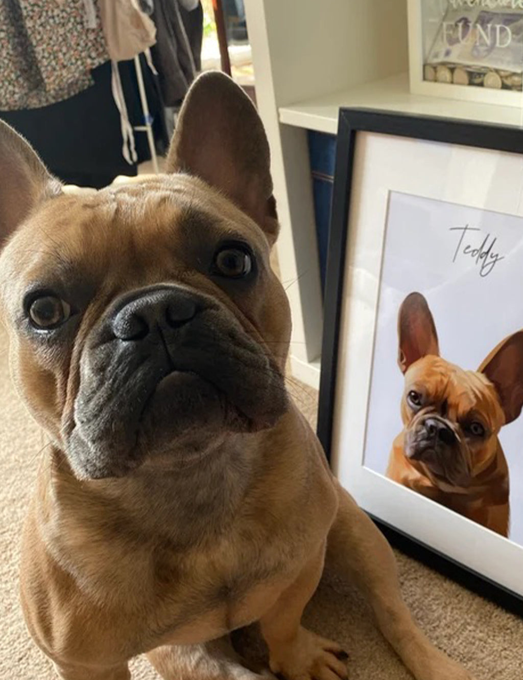 Multiple Pet Portrait, Portrait Of My Pet, Pet Portrait Artists UK, Pet Portrait Photo