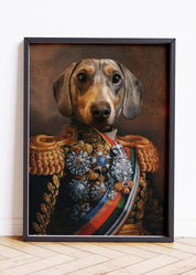 Modern Pet Portraits, Pet Portrait Gifts, Custom Canvas Pet Portraits, Pet Portrait Art