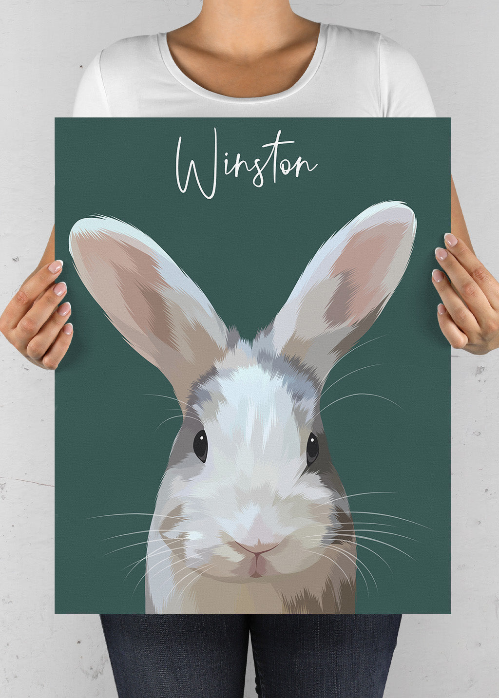 Pet Art Portraits, Hand Drawn Pet Portraits, Pet Portraits From Photos