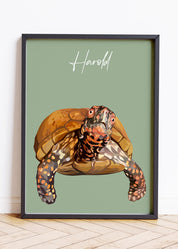 Hand Drawn Pet Portraits, Pet Art Portraits, Pet Portraits From Photos